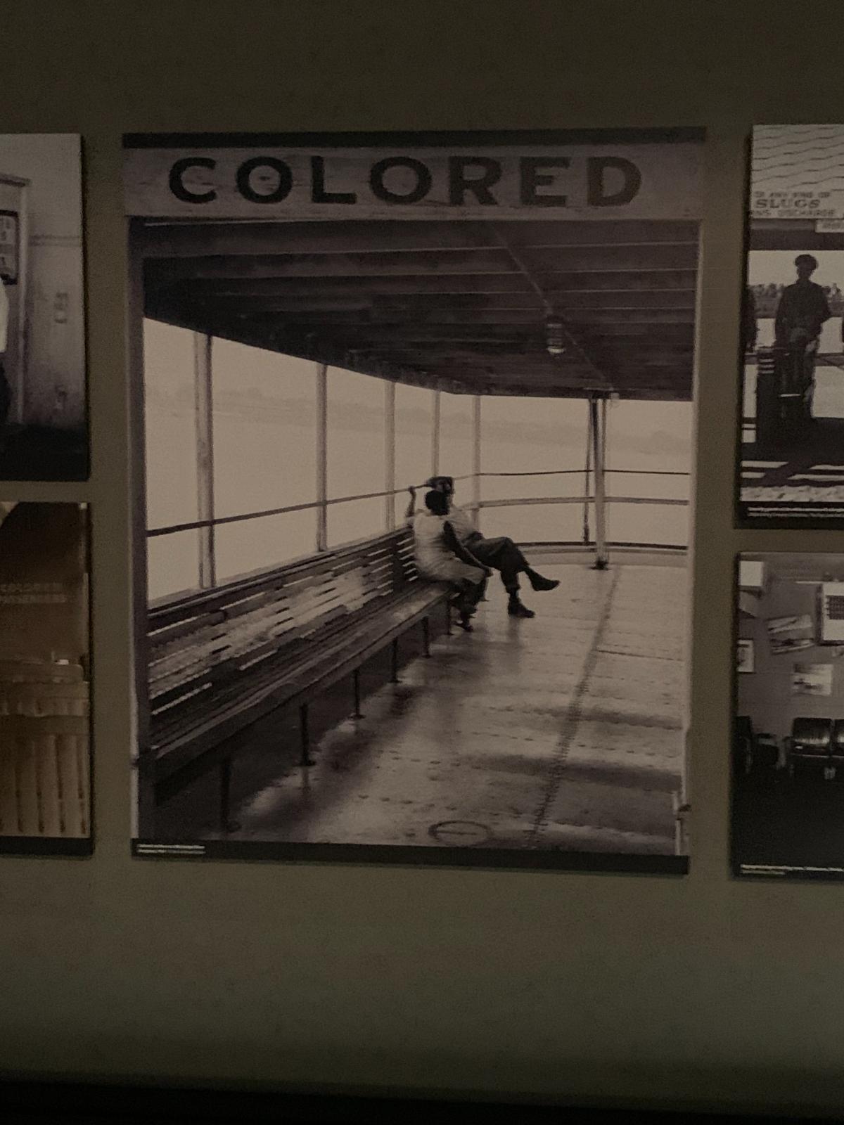 Photo by Guest